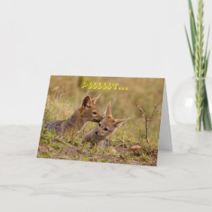 Shhh… c'est une carte de voeux secrète