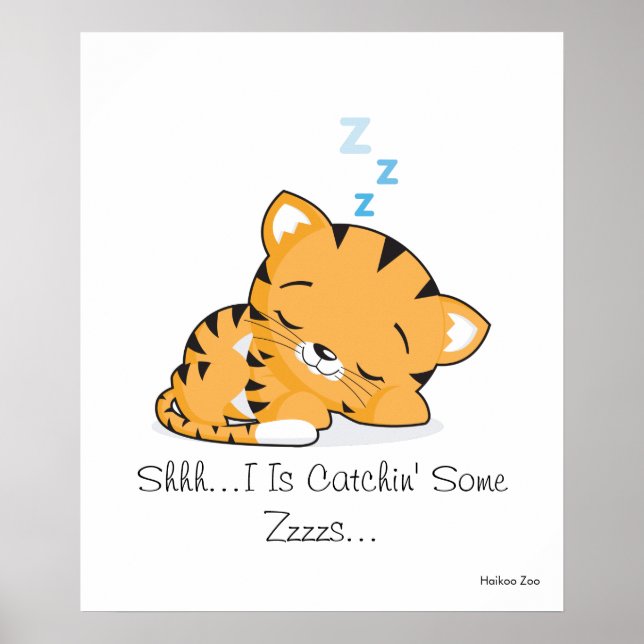 Shhh...Je Catchais Des Zzzs... Affiche (Devant)