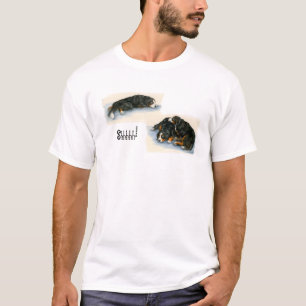 Shhhh-- Sleeping Berners T-shirt