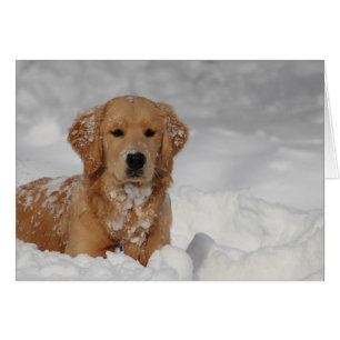 Shhhh, Snow!