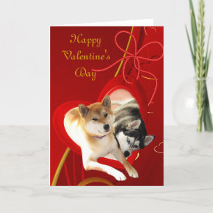 Shiba and Siberian Valentine's Day Card