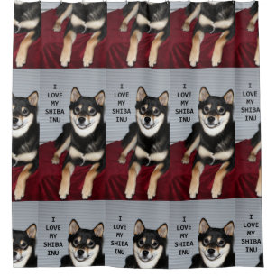 shiba full black and tan love w pic