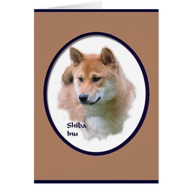 Shiba Inu (Devant)