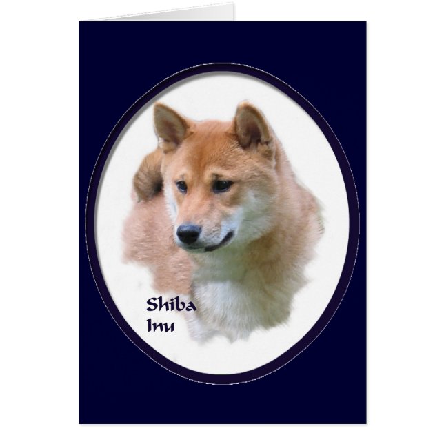 Shiba Inu (Devant)