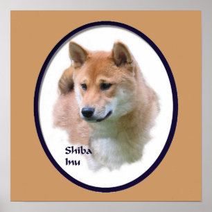 Shiba Inu Art Print