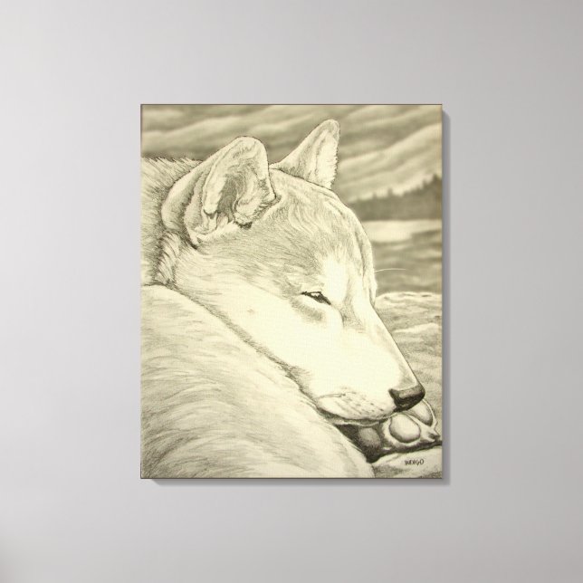 Shiba Inu Art Print Stretched Shiba Inu Art Canvas (Front)