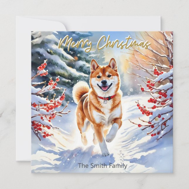 Shiba Inu Dog In Snow Merry Christmas Holiday Card (Front)