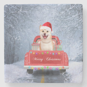 Shiba Inu Dog in Snow sitting in Christmas Truck Stone Coaster