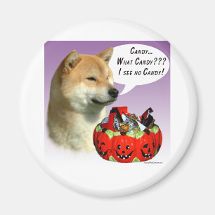 Shiba Inu Halloween Candy Magnet