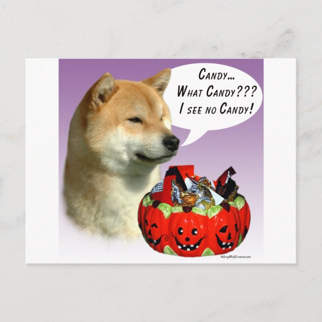 Shiba Inu Halloween Candy Postcard (Front)