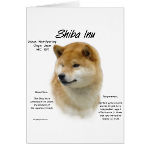 Shiba Inu History 