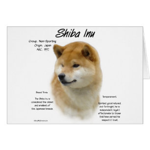 Shiba Inu History 