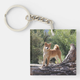 Shiba Inu Keychain