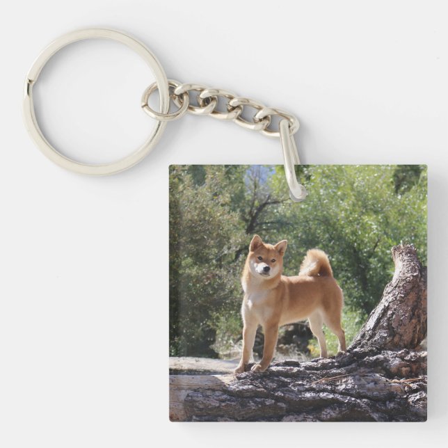 Shiba Inu Keychain (Front)