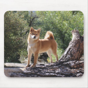 Shiba Inu Mouse Pad