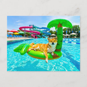Shiba Inu on palm float Postcard