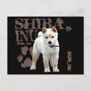 Shiba Inu Postcard