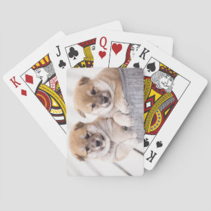 Shiba Inu puppies in aluminum tub Playing Cards