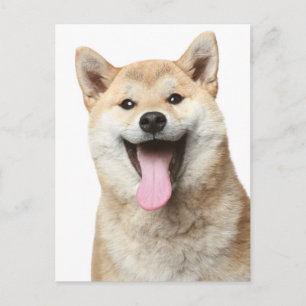 Shiba Inu Puppy Dog Greeting Post Card