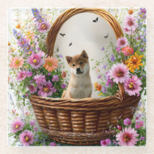 Shiba Inu Puppy Glass Coaster