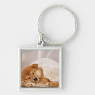 Shiba Inu puppy sleeping under a net curtain Keychain
