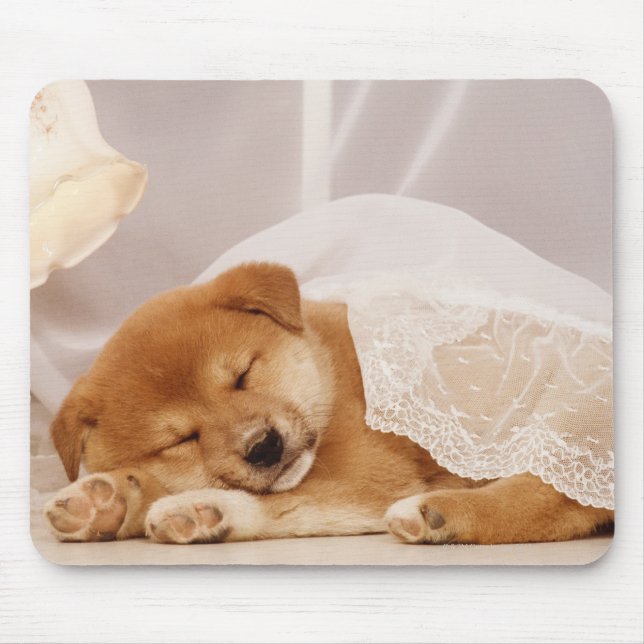 Shiba Inu puppy sleeping under a net curtain Mouse Pad (Front)