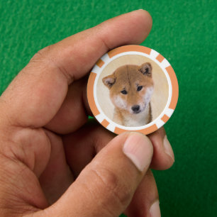 Shiba Inu (Red) Painting - Original Dog Art Poker Chips