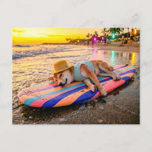 Shiba Inu Relaxing on Sunset Surfboard Postcard