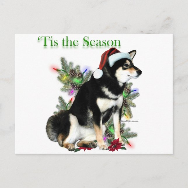 Shiba Inu ‘Tis Postcard (Front)
