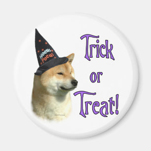 Shiba Inu Trick Magnet
