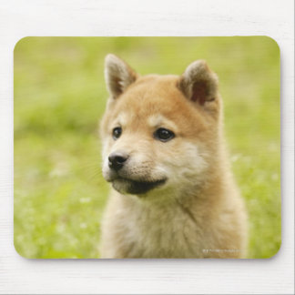 Shiba-ken puppy mouse pad