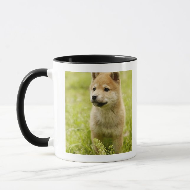 Shiba-ken puppy mug (Left)