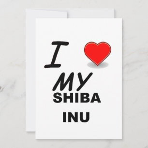 shiba love