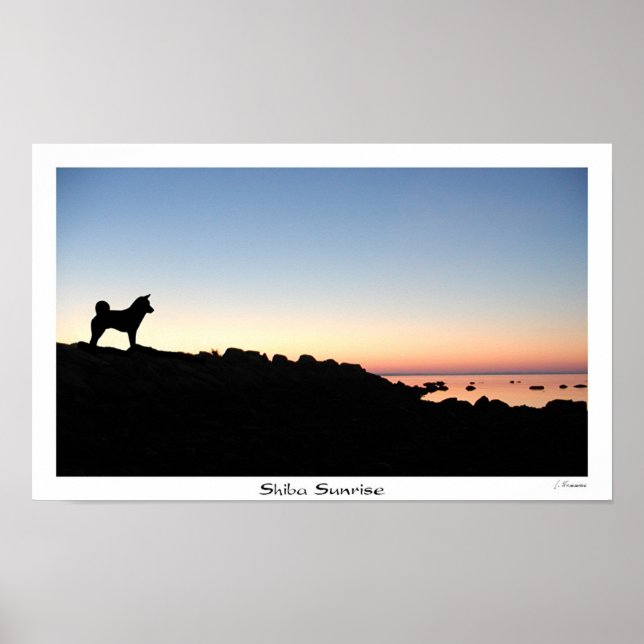 Shiba Sunrise Poster (Front)