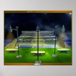 Shift in Perspective Poster