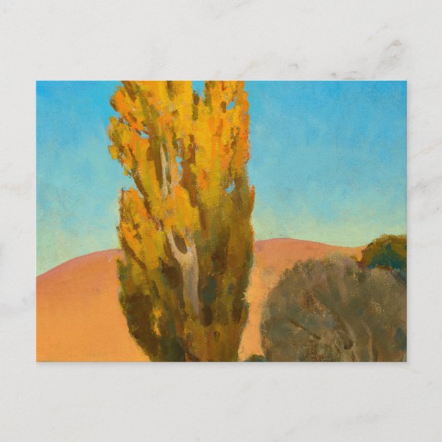 Shifting Light on a Poplar, 1930 by Maynard Dixon Postcard (Front)