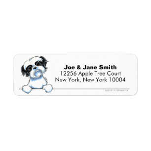 Shih blanc noir Tzu propre et simple