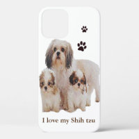 Shih-tsu