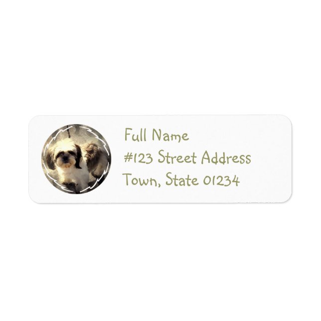 Shih Tsu Dog Return Address Label (Front)