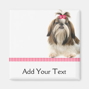 Shih Tsu with Pink Bow on Pink Diamond border Magnet