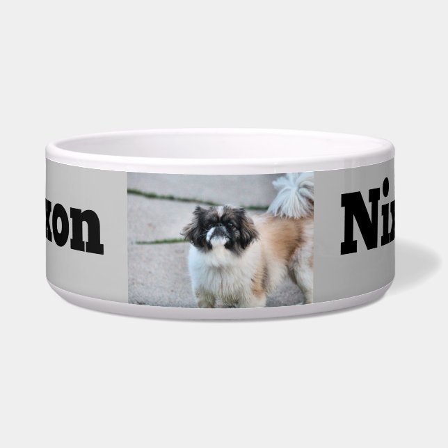 Shih Tzu (Front)