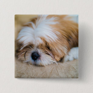 Shih Tzu 2 Inch Square Button