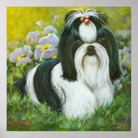Shih Tzu Art Print on Canvas