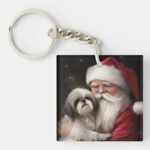 Shih Tzu Avec Noël Festif Du Père Noël