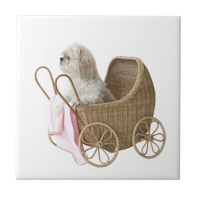 Shih Tzu baby carriage Tile (Front)