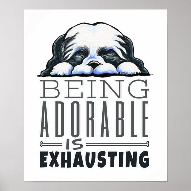 Shih Tzu Being Adorable Poster (Front)