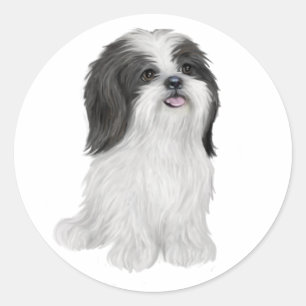 Shih Tzu - black and white (by JF) Classic Round Sticker