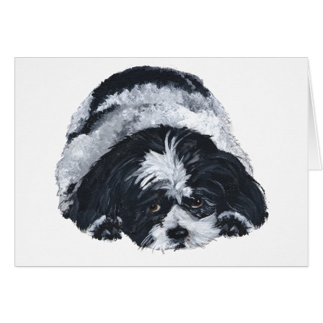 Shih Tzu Black & White (Front Horizontal)