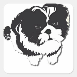 Shih Tzu Black White Dog Pet Square Sticker
