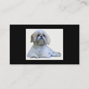 Shih Tzu Breeder Business Card